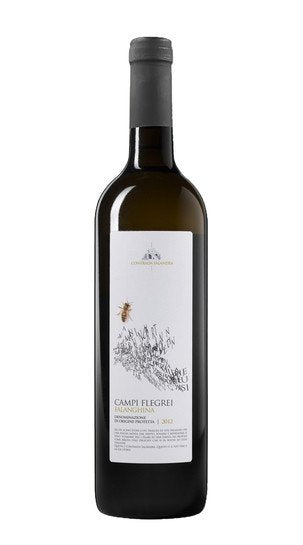 Falanghina Campi Flegrei Contrada Salandra 2012